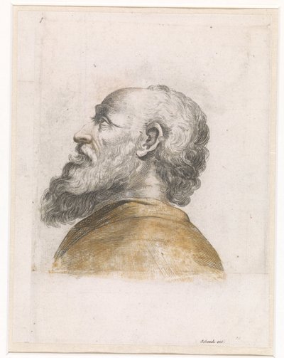 Head of a Bearded Man in Profile Facing Left by Anonymous