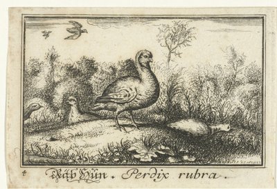 Landscape with Partridges (Räb Hun, Perdix rubra) by Anonymous