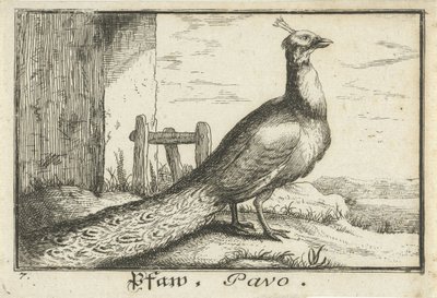 Landscape with Peacock by Anonymous