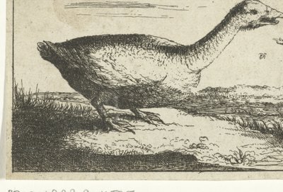 Landscape with Wild Goose by Anonymous