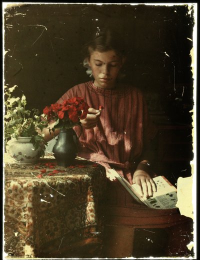 Girl Determining Flower Petals by Anonymous