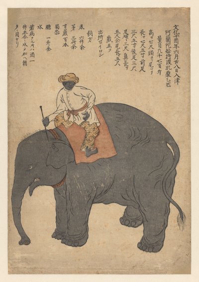 Elephant Brought by a Dutch Ship in 1813 by Anonymous