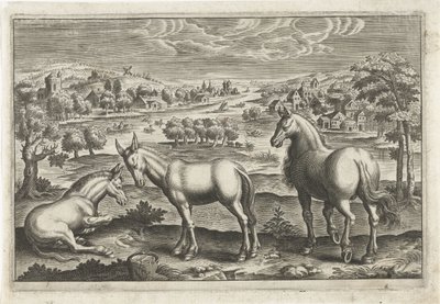 Horse and Donkeys (series title: Four-legged Animals) by Anonymous