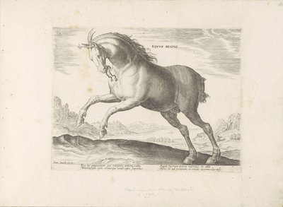 Horse of the Equus Regius Breed (The Royal) by Anonymous