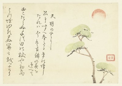 Pine Trees by Anonymous