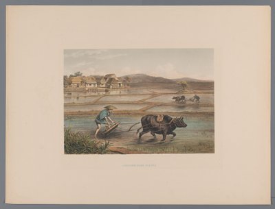 Plowing Farmers in Japanese Rice Fields (Souvenir of Japan Views from Nature with Text by Count de Lijnden) by Anonymous