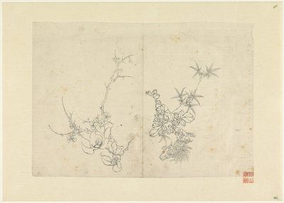 Sketch Sheet with Wild Rose and a Chrysanthemum by Anonymous