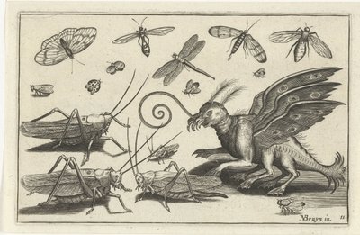 Grasshoppers and Fantasy Creature with Wings and Webbed Feet (Birds and Insects) by Anonymous