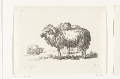 Two Goats and a Lying Sheep (Goats and Sheep after N.P. Berchem) by Anonymous