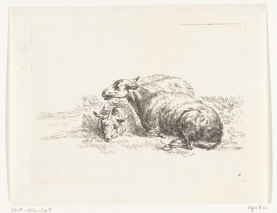 Two Lying Sheep (Goats and Sheep after N.P. Berchem) by Anonymous