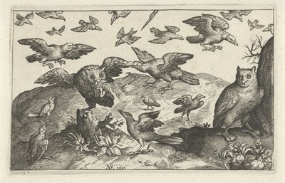 Owl with Prey Attacked by Other Birds (Birds and Insects series) by Anonymous