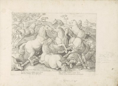 Fighting Horses by Anonymous