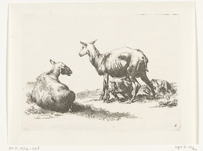 Nursing Sheep with Two Lambs by Anonymous
