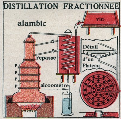 Changes in States: Vapours. Fractional Distillation of Wine. Anonymous Illustration from 1925. Private Collection by Anonymous Anonymous