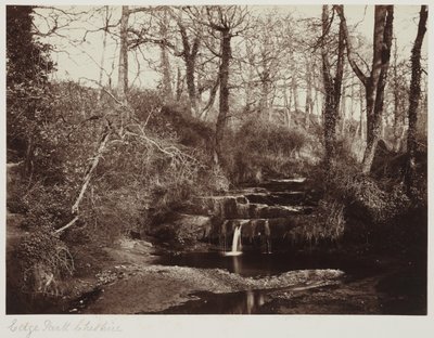 Edge Park, Cheshire by Anonymous Anonymous