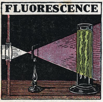 Fluorescence: evidence of the fluorescence of the bodies. Anonymous illustration from 1925. Private collection. by Anonymous Anonymous