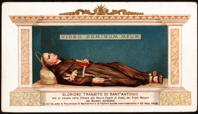 Lying of St. Anthony of Padua comes into the church of the sacred heart of Jesus of the Minor Brothers of Busto Arsizio (pious image) by Anonymous Anonymous