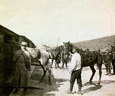 Photograph from a Personal Album of an Infantry Lieutenant During the First Months of the First World War by Anonymous Anonymous