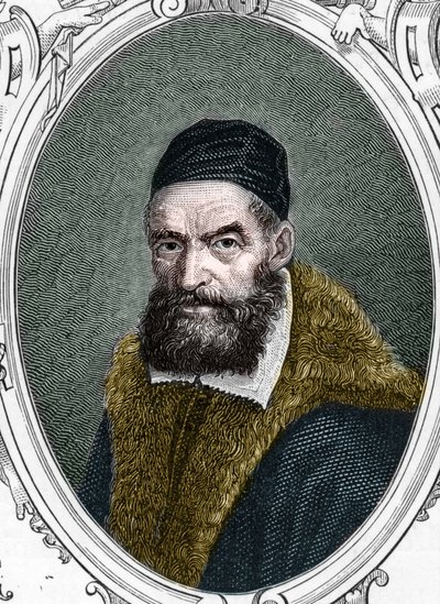 Portrait of Jacopo Palma il Vecchio (Old or Old) by Anonymous Anonymous