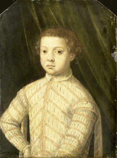 Portrait of a Boy by Anonymous Anonymous