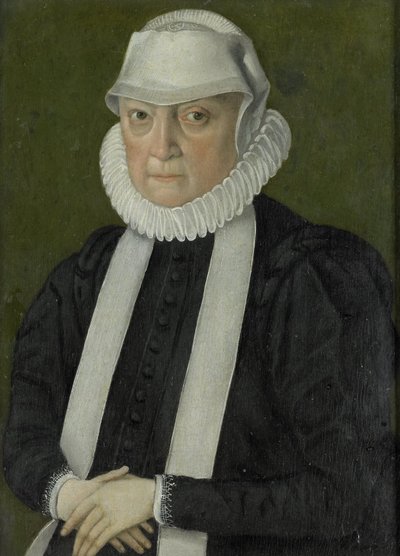 Portrait of a Woman, Probably Anna Jagellonia, Queen of Poland by Anonymous Anonymous