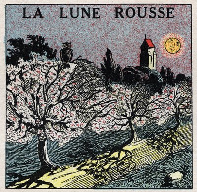 Radiation and conductibility: the red moon whose light burns the bloom buds. Anonymous illustration from 1925. Private collection. by Anonymous Anonymous