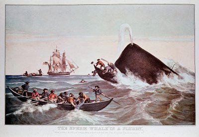 Sperm whales in the whirlpool, capsizes small boats by Anonymous Anonymous