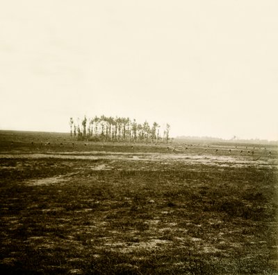 Stereoscopic glass plate on the First World War by Anonymous Anonymous