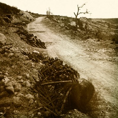 Stereoscopic glass plate on the First World War by Anonymous Anonymous
