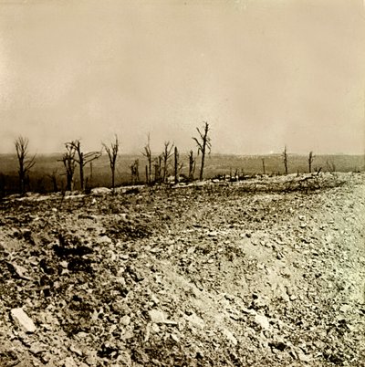 Stereoscopic glass plate on the First World War by Anonymous Anonymous