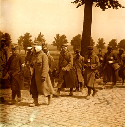Stereoscopic glass plate on the First World War by Anonymous Anonymous
