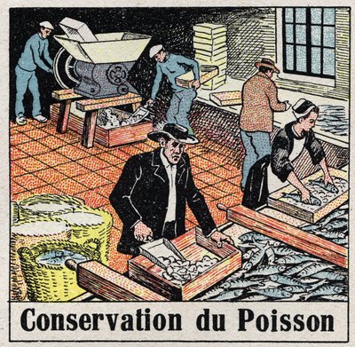Cold Industry: Conservation of Fish in Ice by Anonymous Anonymous