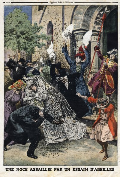 Wedding attacked by a swarm of bees. Engraving in 