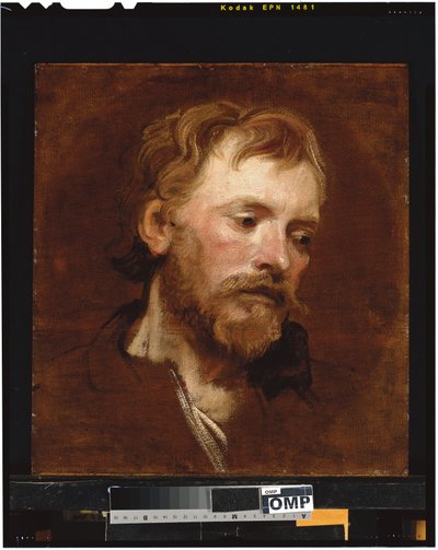 A Bearded Man, a Study by Anthony van Dyck