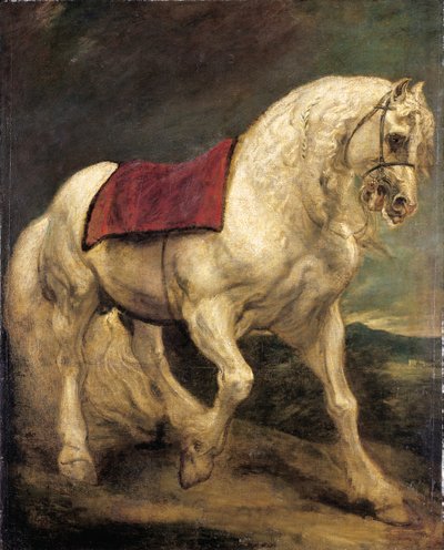 A bridled grey stallion, with a saddle cloth and partially plaited mane: a modello by Anthony van Dyck