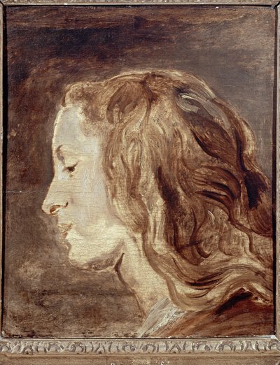 Head Study by Anthony van Dyck