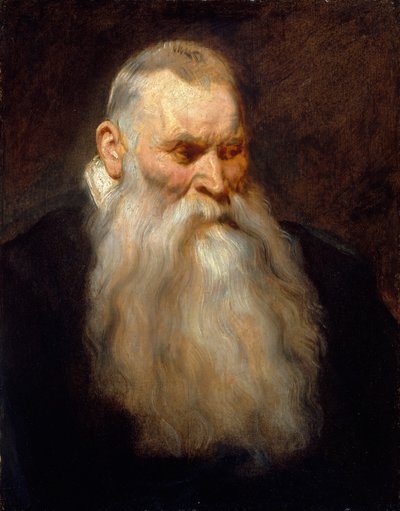 Study Head of an Old Man with a White Beard by Anthony van Dyck