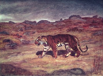 A Tiger Hunting his Prey by Antoine Louis Barye