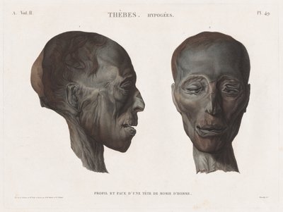 Description of Egypt: Thebes. Hypogees Vol. II, Pl. 49 by Antoine Maxime Monsaldy