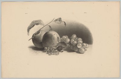 Apples, Berries, Blackberry, and Grapes (Flower and Fruit Studies, 3rd Issue) by Anton Weiss