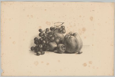 Grapes and Apples Flower and Fruit Studies (...) 3rd Issue (series title) by Anton Weiss