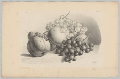 Pumpkin, Berries, Grapes, and Peaches (Flower and Fruit Studies, 3rd Issue) by Anton Weiss
