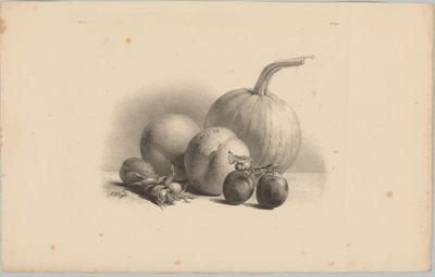 Pumpkin, Peaches, Apricot, Plums, and Hazelnuts (Flower and Fruit Studies, 3rd Issue) by Anton Weiss