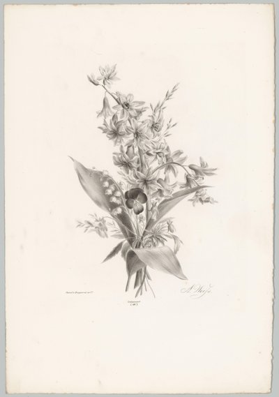 Violet and Hyacinth and Bell-Shaped Flowers (Flower and Fruit Studies, 10th Issue) by Anton Weiss