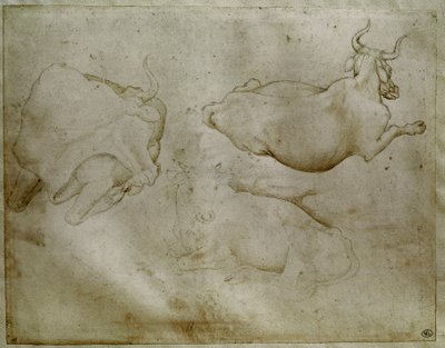 Two cows and a juniper. Drawing by Antonio di Puccio Pisano dit Pisanello by Antonio Pisanello