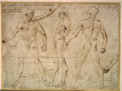 Three naked men. Drawing by Antonio Pollaiuolo by Antonio Pollaiuolo