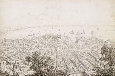 Panoramic View of Naples by Antonio Senape