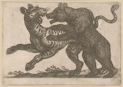 A Bear Fighting with a Tiger by Antonio Tempesta