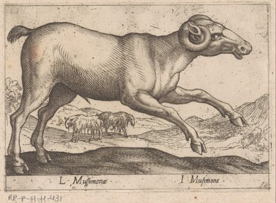 Goat-like Creature (Animals and Mythical Creatures / Nova raccolta de li animali piu curiosi del mondo) by Antonio Tempesta