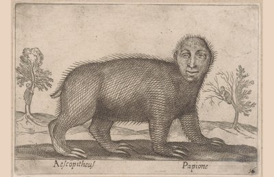 Sloth by Antonio Tempesta
